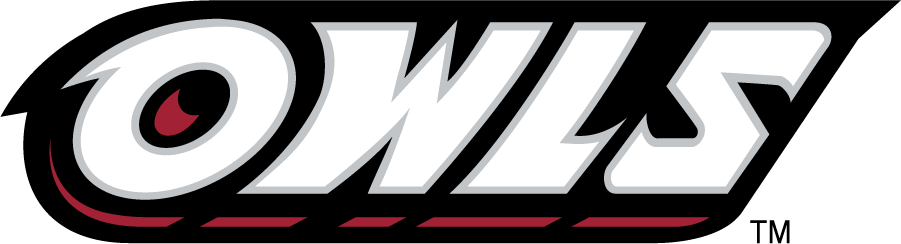 Temple Owls 1996-2014 Wordmark Logo iron on transfers for clothing
